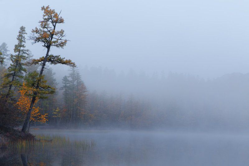 Mysterious Morning.photo preview