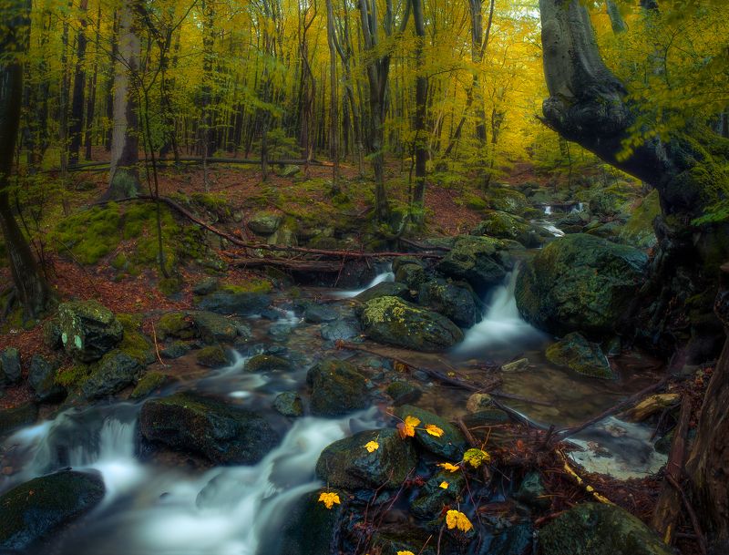 Драгалевска рекаphoto preview