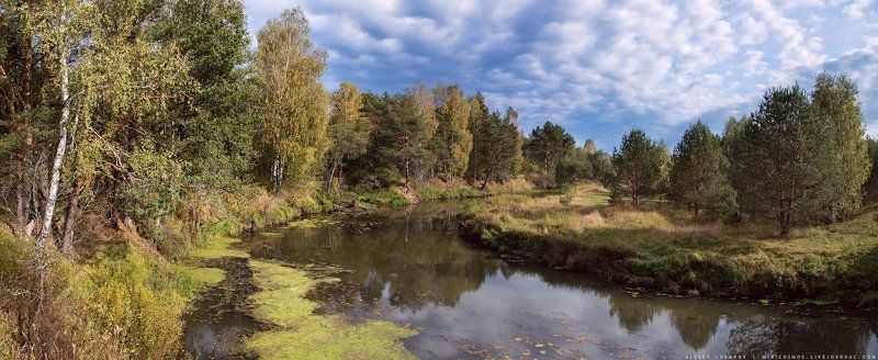 Места Коровинские и Шаляпинскиеphoto preview