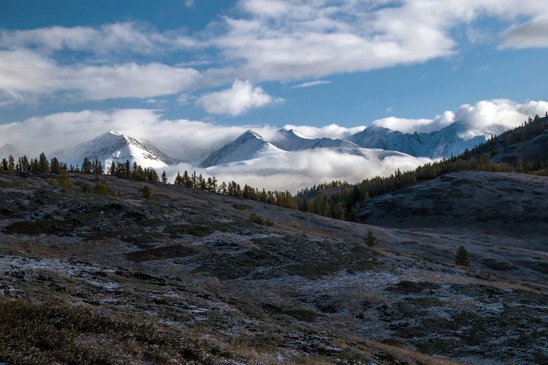 природа пейзаж алтай утро горы вершины облака ештыколь курайский хребет На рассвете...photo preview