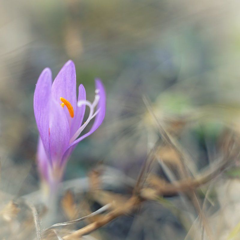 Осень пришла фото превью