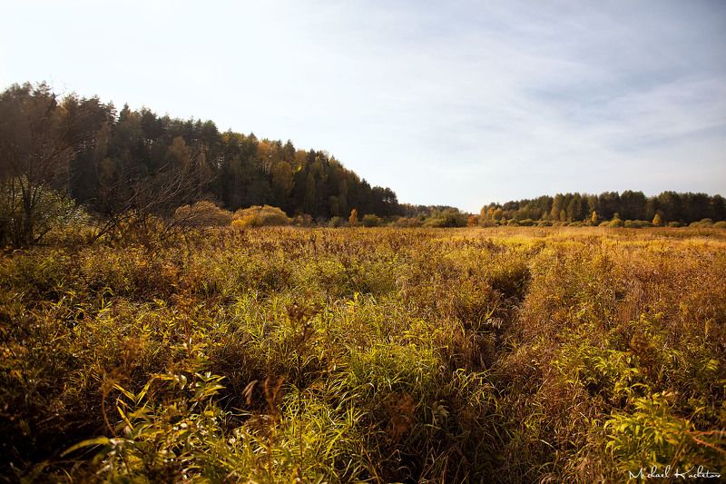 The fieldphoto preview