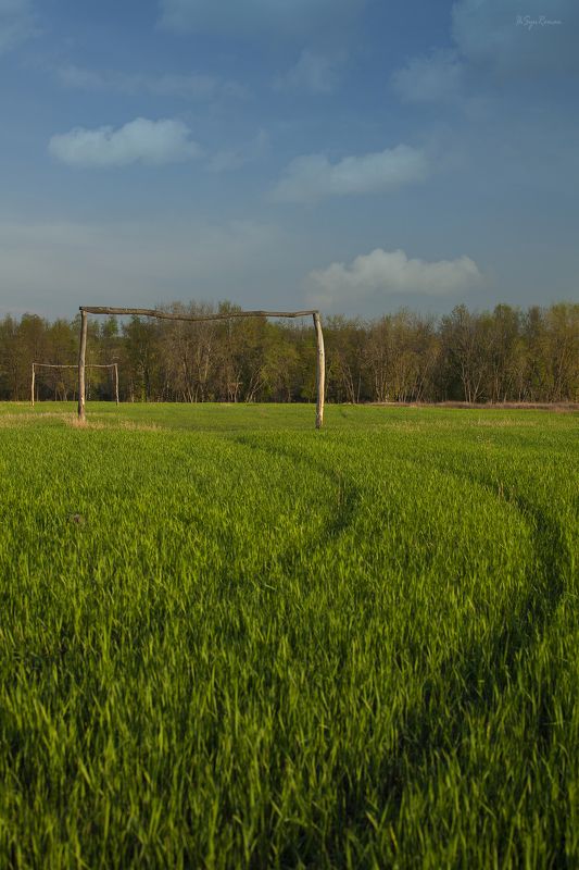 осень,утро,поле,посадка,трава Ворота осени ...photo preview