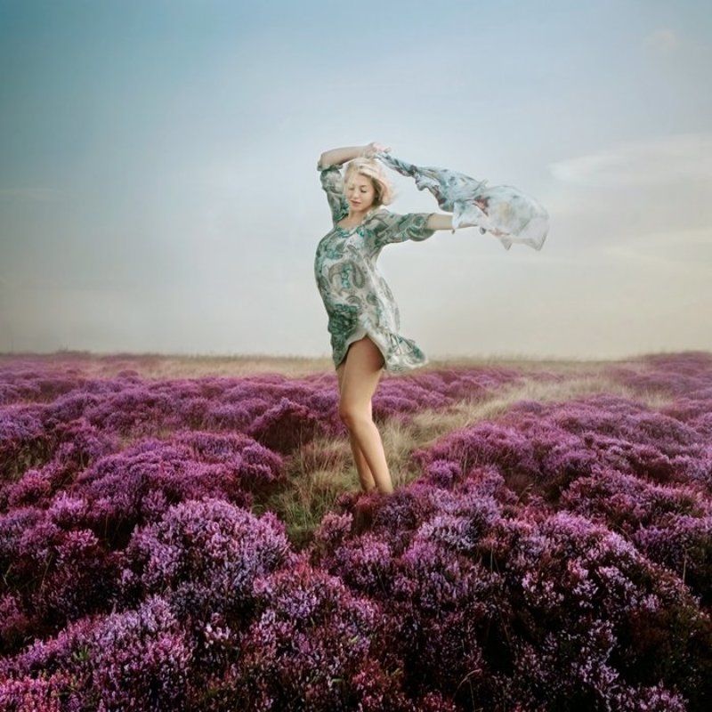 Untitledphoto preview