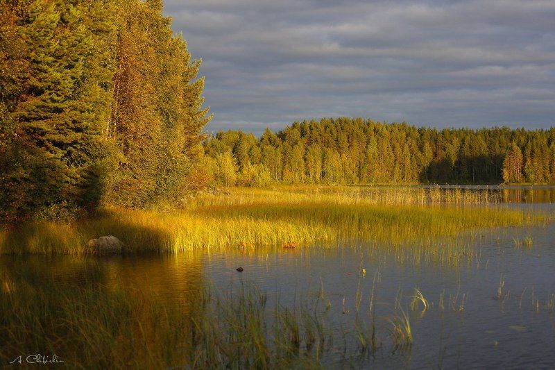 карелия_линдозеро, пейзаж, осень, октябрь, золото, закат, озеро Улыбка осенней Карелииphoto preview