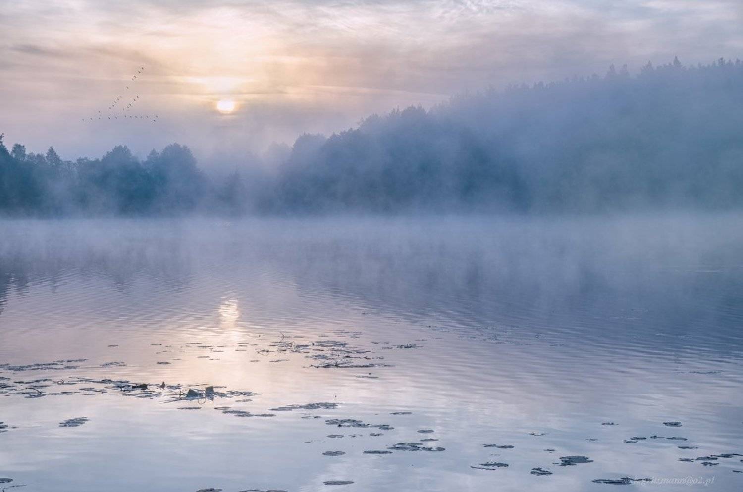 , Katarzyna Gritzmann