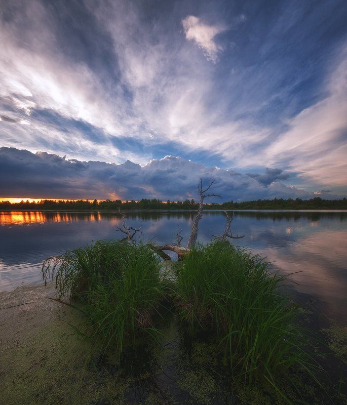 россия, подмосковье, весна, вечер, закат, озеро, небо, облака, вода, свет, солнце, деревья, трава В ожидании закатаphoto preview