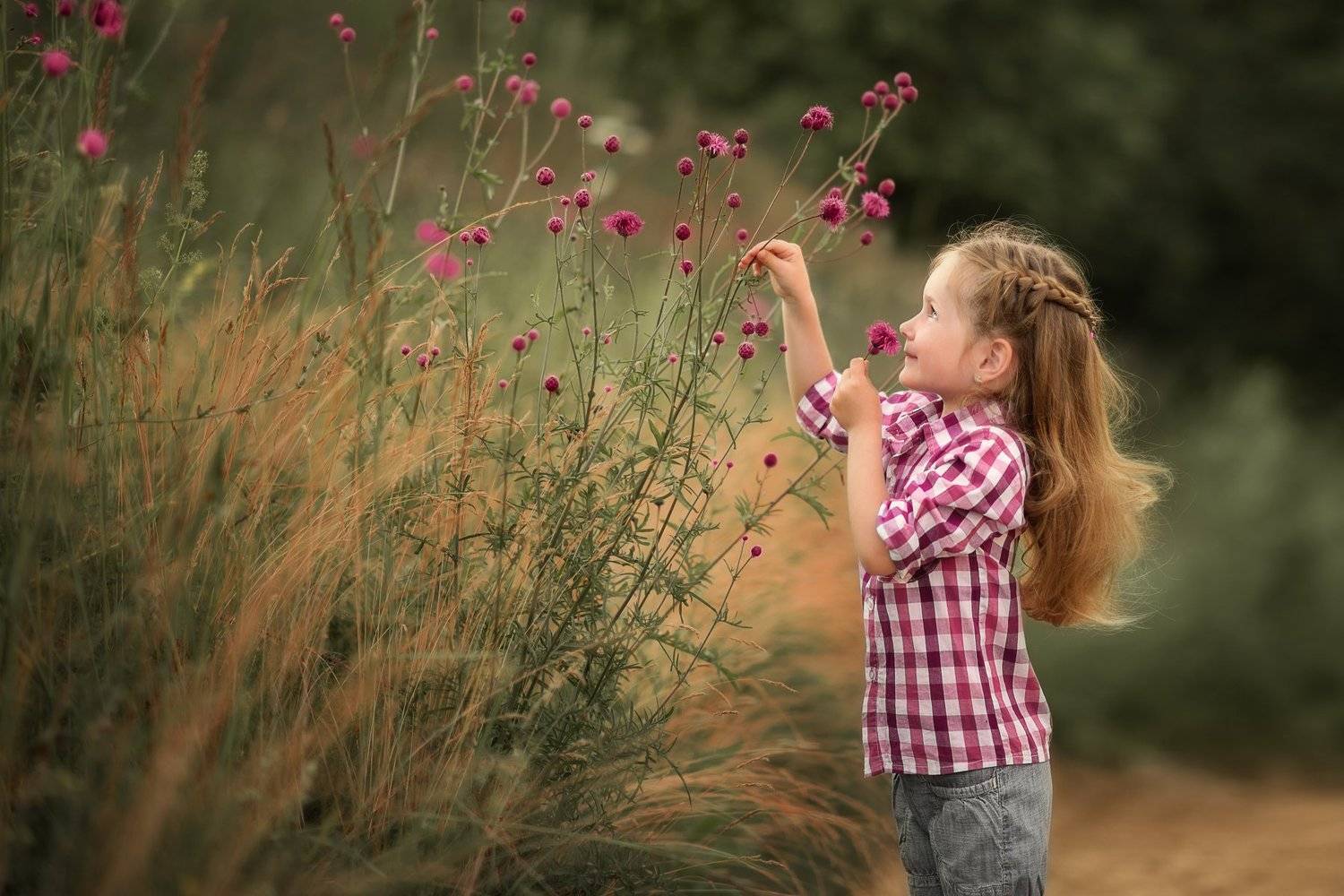 Фиолетовая фантазия. Автор: Юлия Кубар , Юлия Кубар