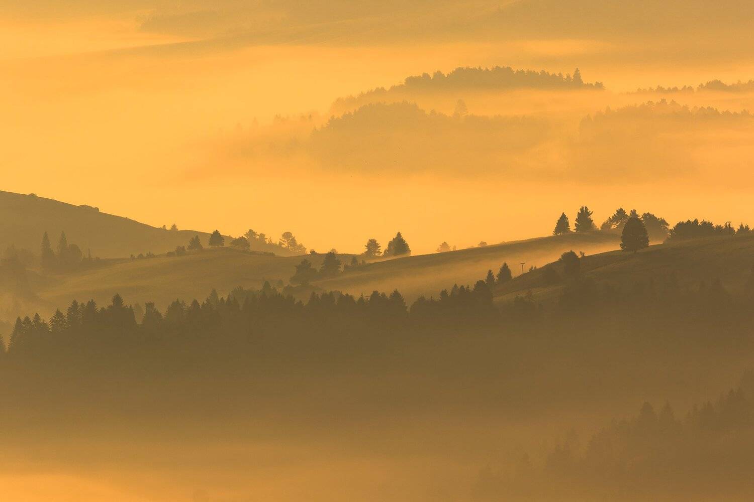 View from "Three Crowns". Автор: Łukasz Sokół , Łukasz Sokół