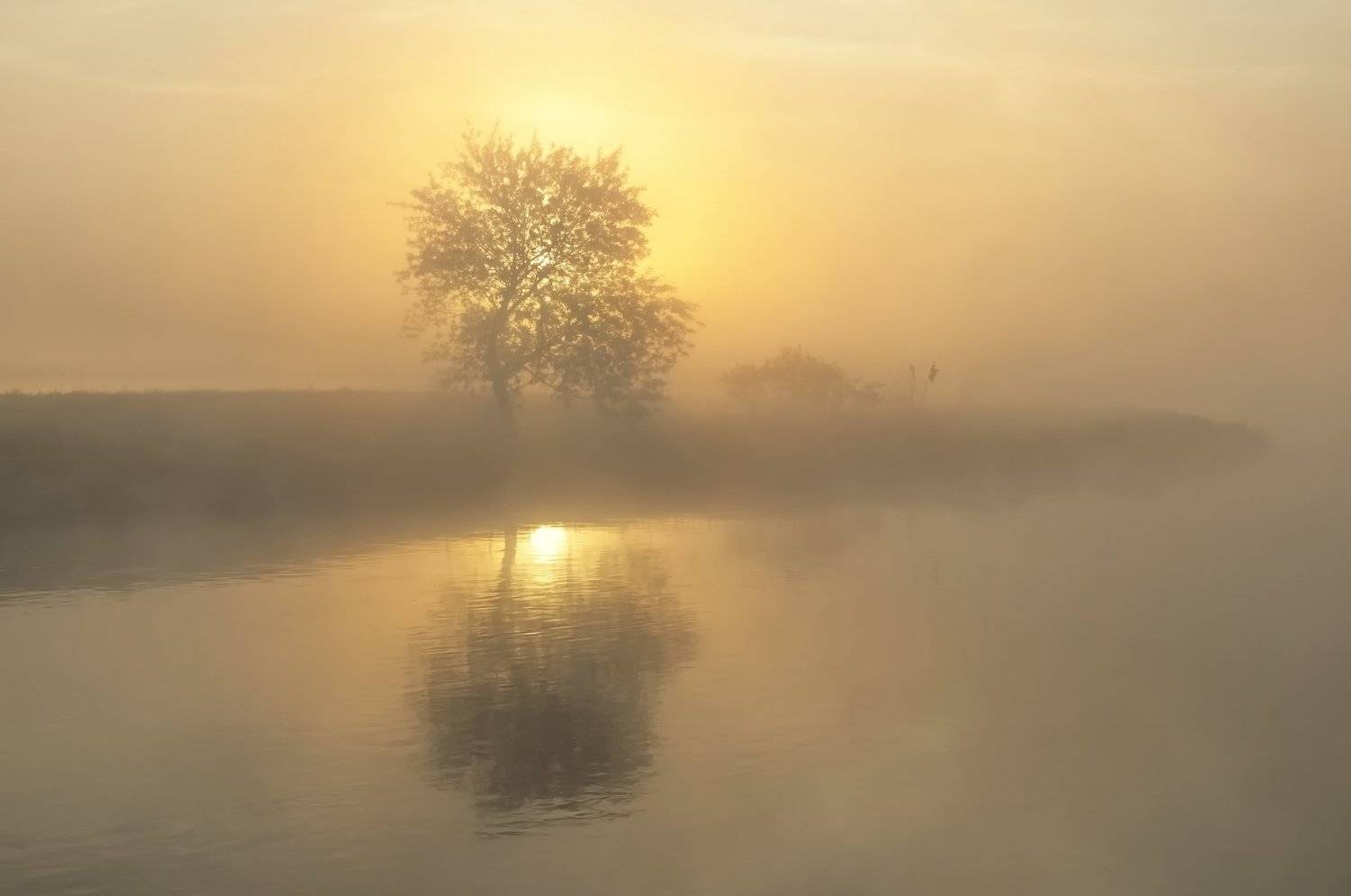 На рассвете. Автор: Александр Гвоздь утро, туман, солнце, свислочь, Александр Гвоздь