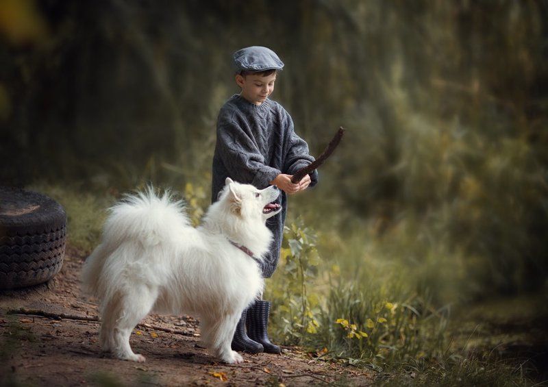 мальчик и собака, самоед Однажды в начале осени...photo preview