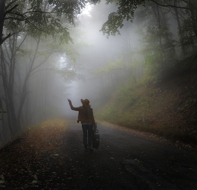 пилигрим, лес,туман, гитара,музыкант,осень Пилигримphoto preview