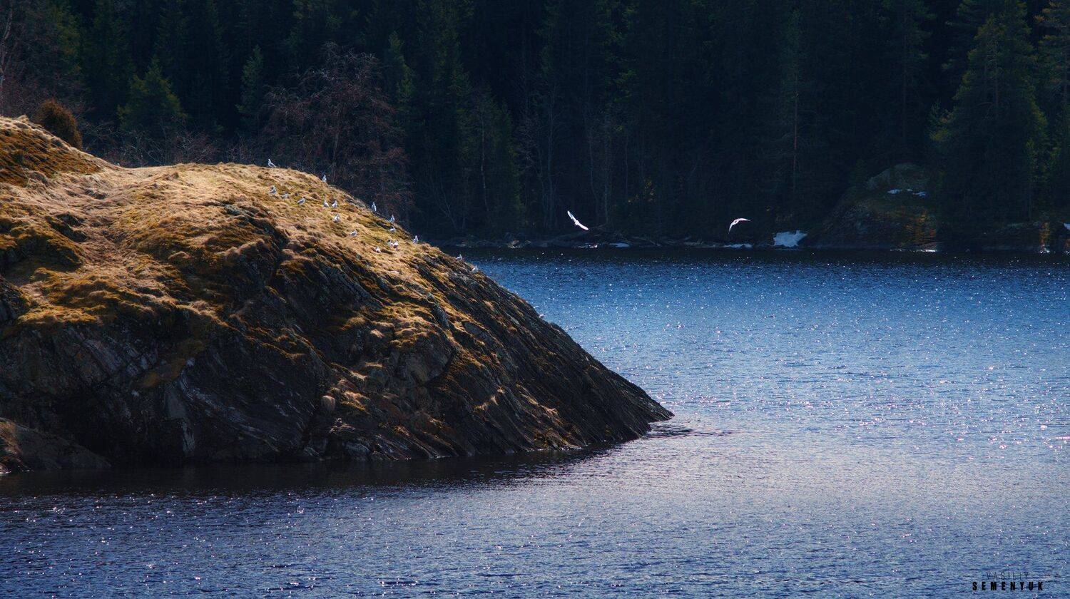 ладога, карелия, скалы, озеро, птичий базар, весна, чайки., Семенюк Василий