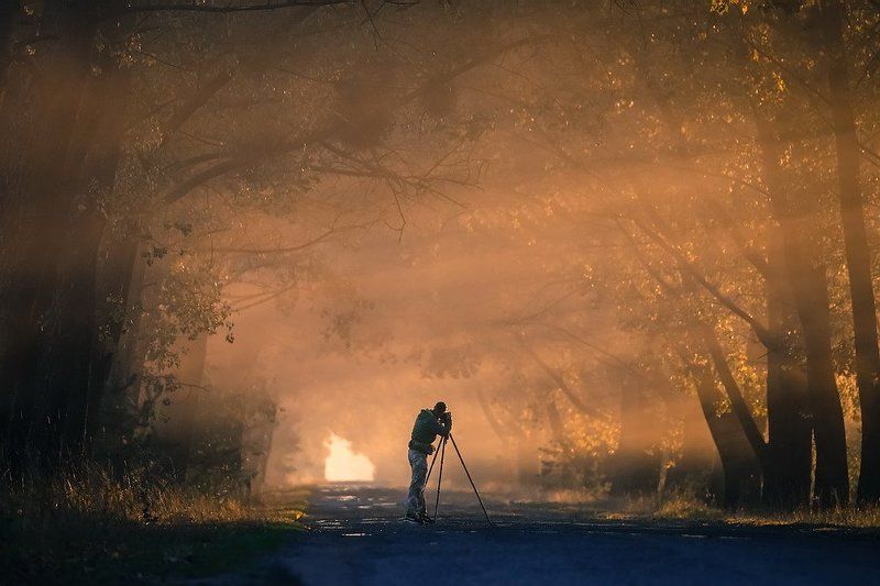 Ловец светаphoto preview