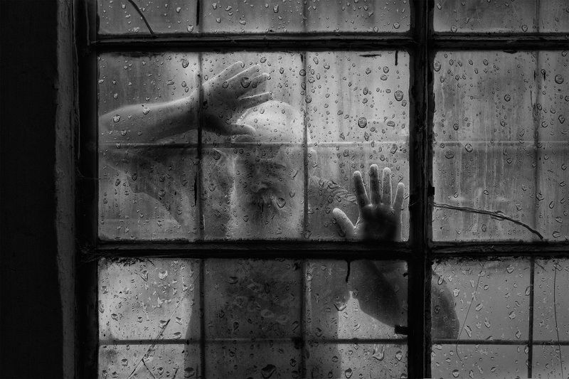 window, behind the windowphoto preview