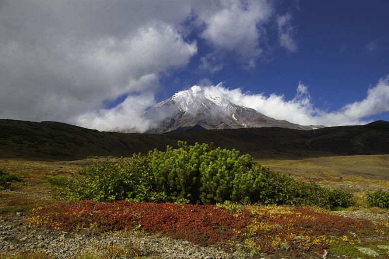 Камчатка.Осень.Вулкан Корякскийphoto preview