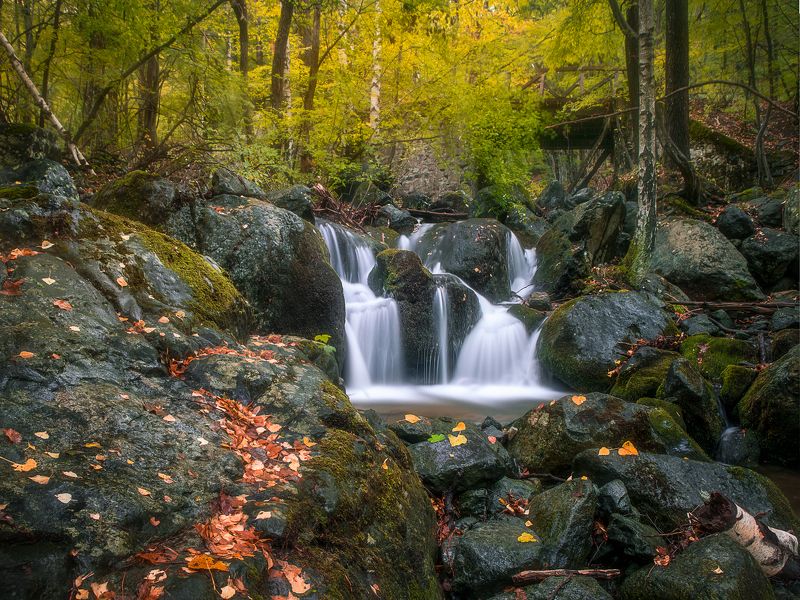 Драгалевска рекаphoto preview