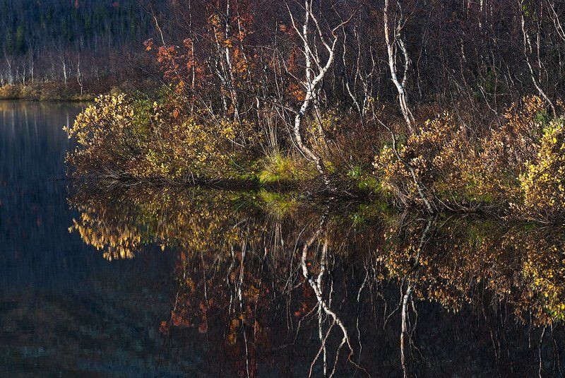 Осенние краски Севераphoto preview