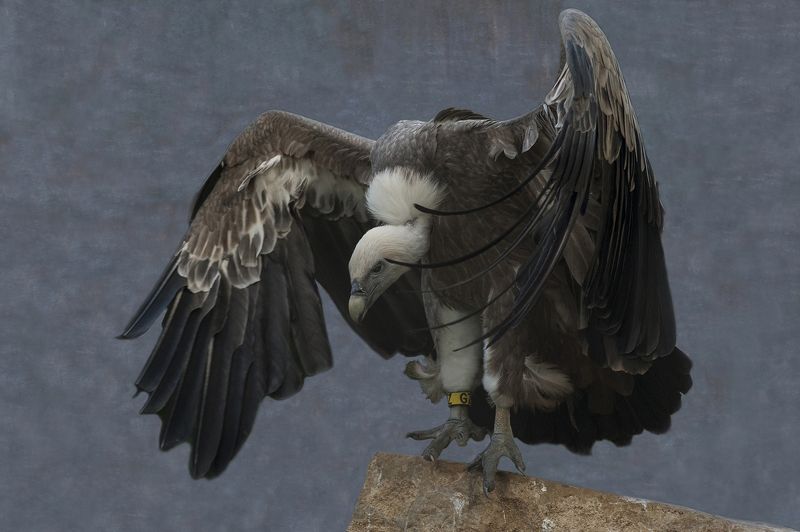 Untiled#*photo preview