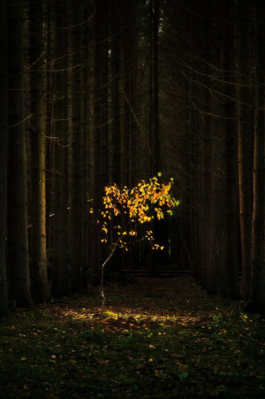 тайнаphoto preview