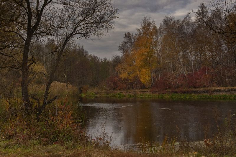 осень,утро,берег,река Берег осени ...photo preview