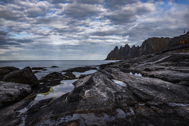 Норвегия . Остров Сенья . фото превью