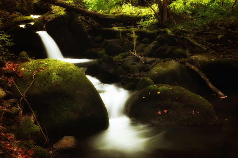 By the Riverphoto preview