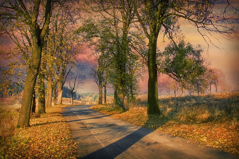 Autumn goes, no advice ...photo preview