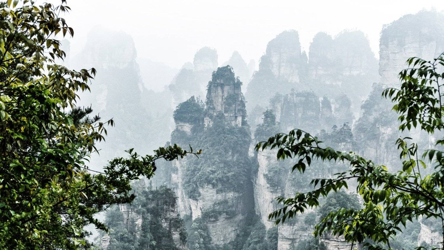 , Сергей Низовцев