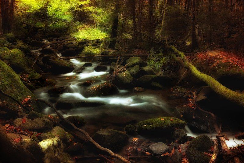 By the River 2photo preview