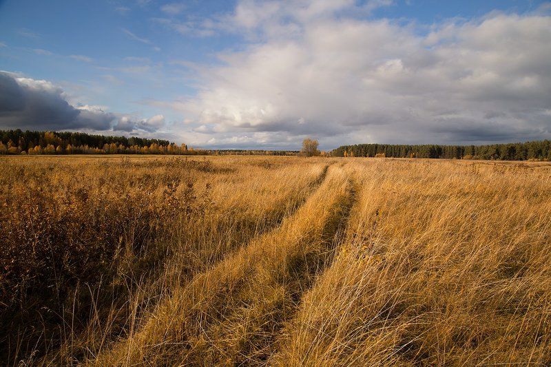 ******************photo preview