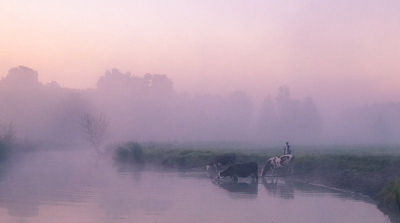 Утро нового дняphoto preview