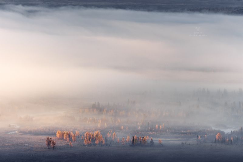 Туманное утроphoto preview