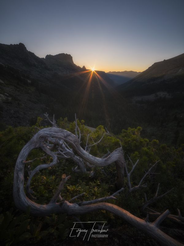 ергаки, природа, пейзаж, саяны, горы, лето, сибирь, утро, рассвет, небо, красноярск, западные саяны, скалы, деревья, лес Затаившийся драконphoto preview