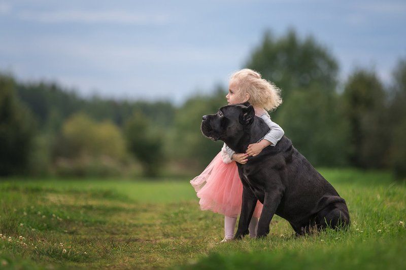 собака, девочка, закат, Лучший другphoto preview