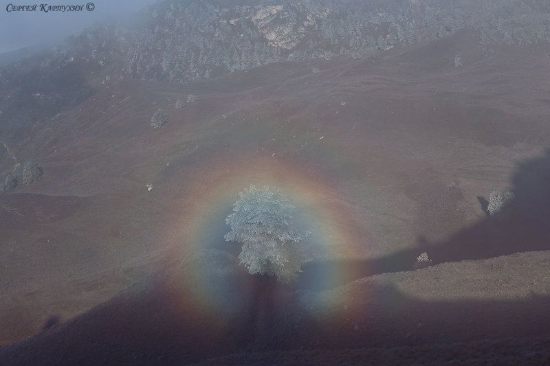 кавказ, ингушетия, заповедник эрзи Нимб.photo preview