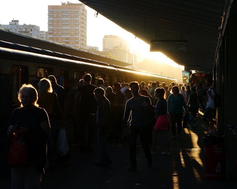 zombie landphoto preview