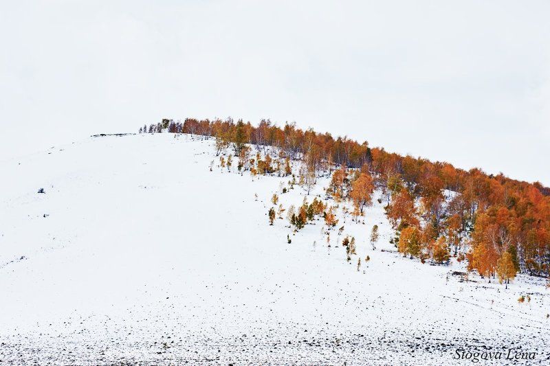 хакасия, осень, зима Между осенью и зимойphoto preview