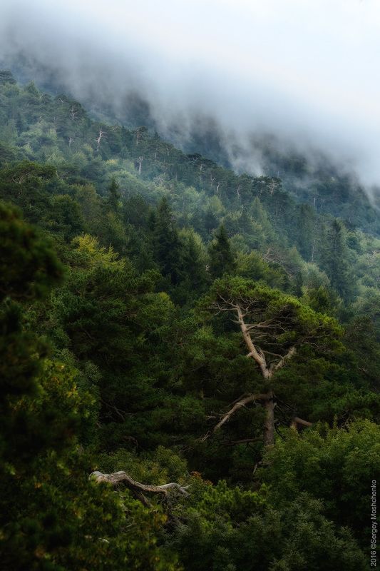 #Landscape #nature #mountains Reserved Crimeaphoto preview