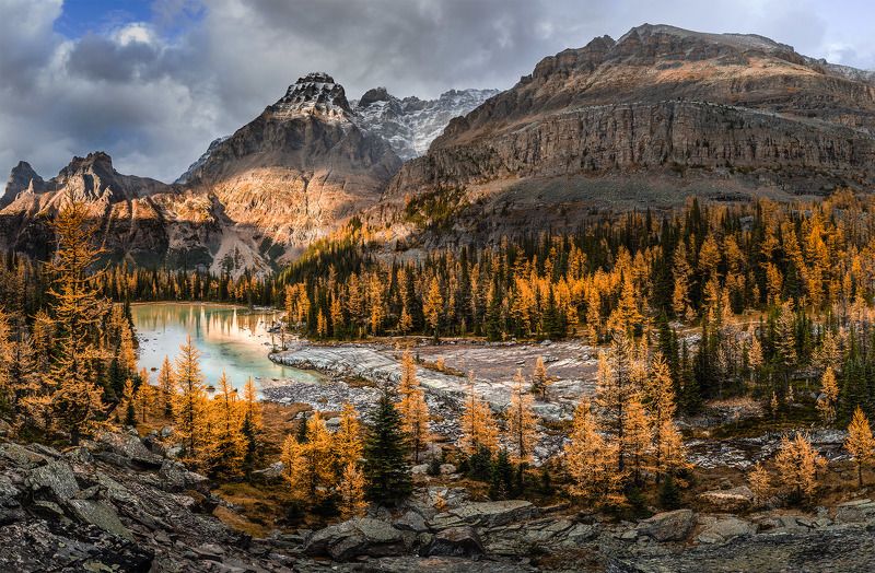 #oxara, #yoho, #rockies ОСЕННИЕ КРАСКИ ЙОХОphoto preview