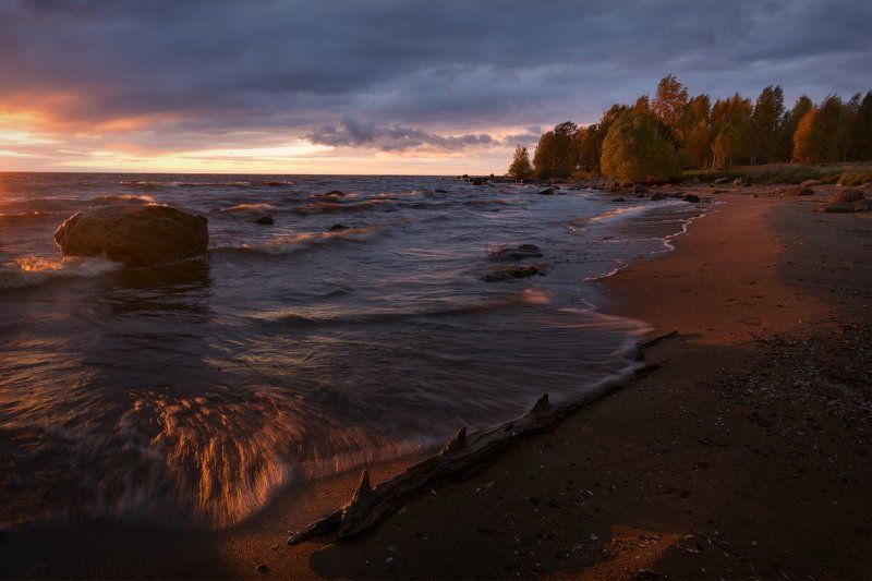 пейзаж, пейзажная съемка, вечер, октябрь, осень, свежесть, желтая листва, никон, landscape, рыбинское море, sunset, закат Бесноватый закатphoto preview