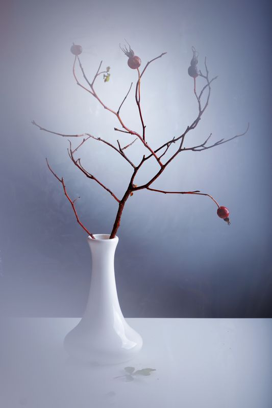 Первые холодаphoto preview