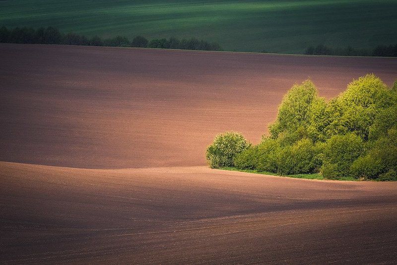Родные краяphoto preview
