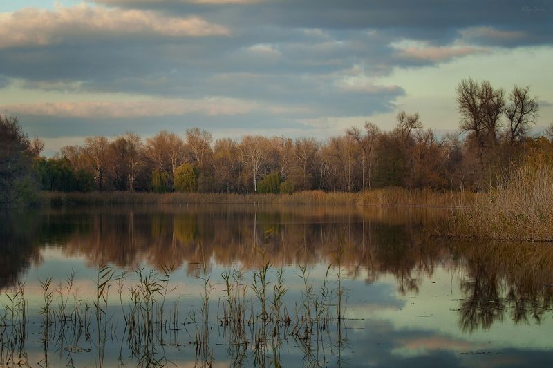 осень,утро,берег,река,камыш Осени залив ...photo preview