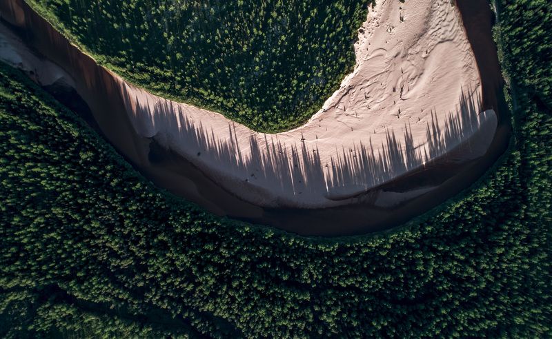 dji, drone, новыйуренгой, уренгой, пейзаж, дрон, лес, квадрокоптер Импульсы лесотундрыphoto preview