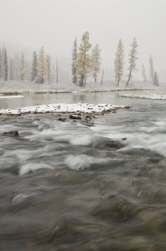 Алтай, р. Шавла, Юсупов Александр