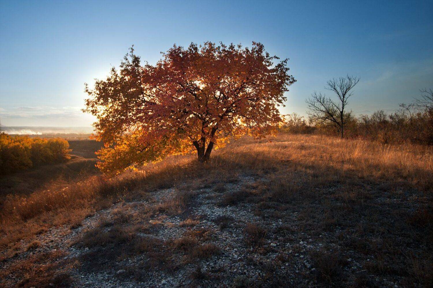 , Дитковский Евгений