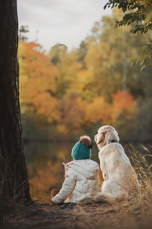 Осенняя сказкаphoto preview