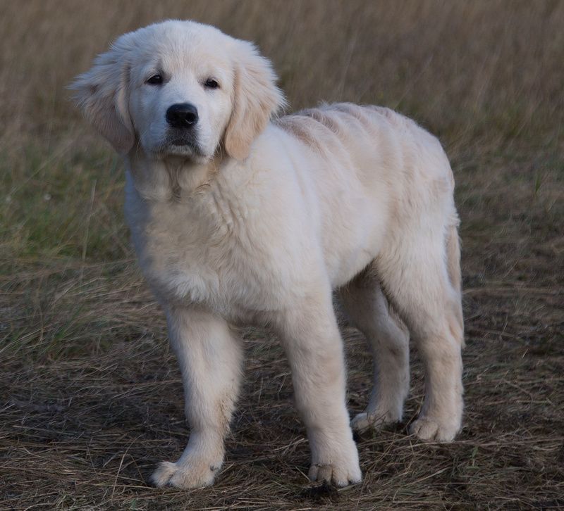 **********photo preview