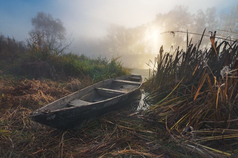 утро, рассвет, туман, солнце, река, пейзаж, лодка, пристанище, осень, камыш Пристанище осениphoto preview